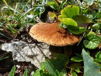 Impressionen im  Naturpark Pragsertal 