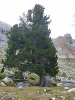 Naturpark Pragsertal 