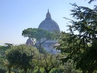 Blick von den Vatikanischen Gärten auf die Kuppel der Peterskirche 