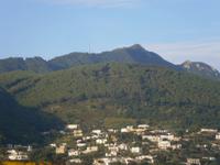 Im Hintergrund - Der Monte Epomeo