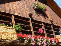 Abschied von Südtirol