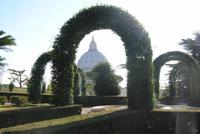 Blick auf die Kuppel des Petersdoms von den Vatikanischen Gärten