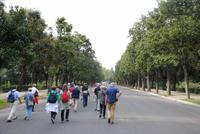 Magnolienallee - Villa Borghese