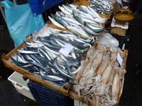Fischmarkt in Catania