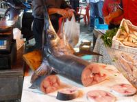 Fischmarkt in Catania