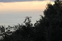 Ausblick vom Grand Hotel Sant`Orsola in Agerola (Galli-Inseln)