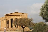 Agrigent (Tal der Tempel)