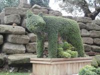 Säugende Wölfin in Rom