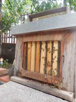 Honigvölker rund um den Ätna