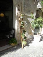 kreative Begrünung der Straßen