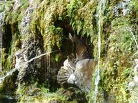 5_Donnerstag_Vatikanische_Gärten_Borghesebrunnen (1)