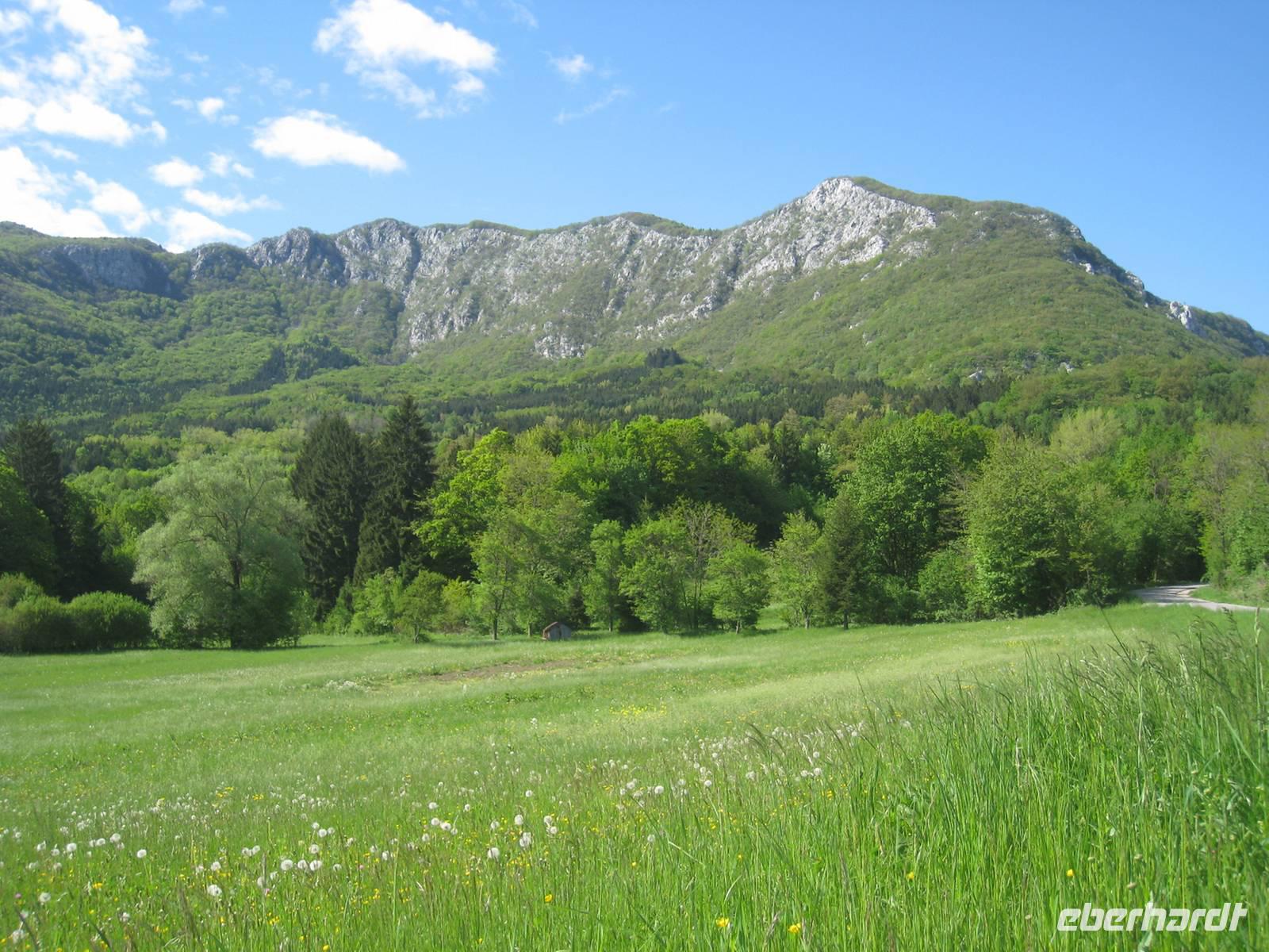 im slowenischen Karst