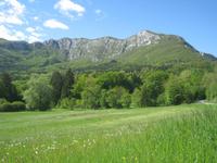 im slowenischen Karst