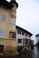 Margreid - vor dem 600-jährigen Weinstock