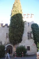 Landesfürstliche Burg in Meran