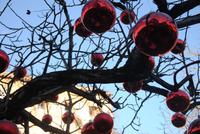 Moderne Form des Weihnachtbaum im Innenhof Schloss Rametz