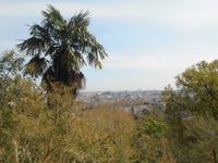 Ausblick vom Gianicolo-Hügel