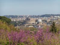 Ausblick vom Gianicolo-Hügel 