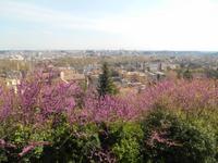 Ausblick vom Gianicolo-Hügel 