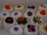 Ricotta - mit frischen Blüten