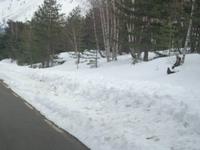 Neuschnee auf dem Col de Veghine