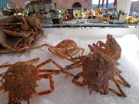 Alles Frisch auf den Tisch