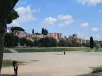 Blick zum Palatin in Rom