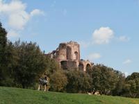 Blick zum Palatin in Rom