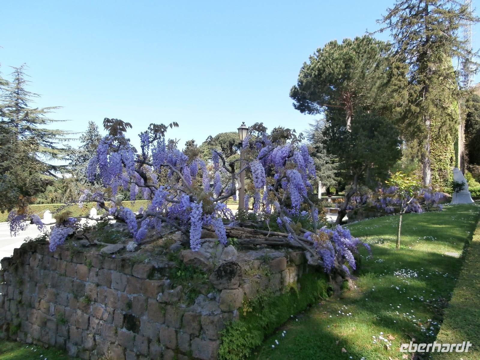 in den Vatikanischen Gärten Rom