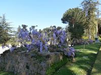 in den Vatikanischen Gärten Rom