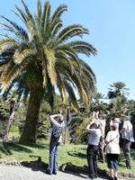 Eberhardt Gäste schauen nach den Papageien