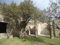 Pompeji_Impressionen_3