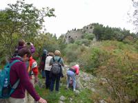 Blick zur Festung Friedrich II