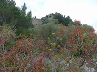 Blick zur Festung Friedrich II