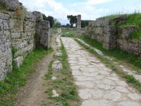 Cardo maximus in Paestum