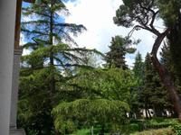 Baumbestand in der Kartause von Padula