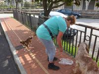 Brigitte mit 2 treuen 