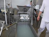 Mozarella-Herstellung