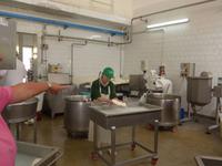 Mozarellabearbeitung