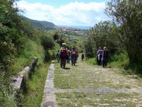 Weg von der Porta Rosa in Velia