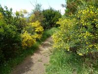 Impressionen vom Wanderweg zwischen Bonassola und Levanto