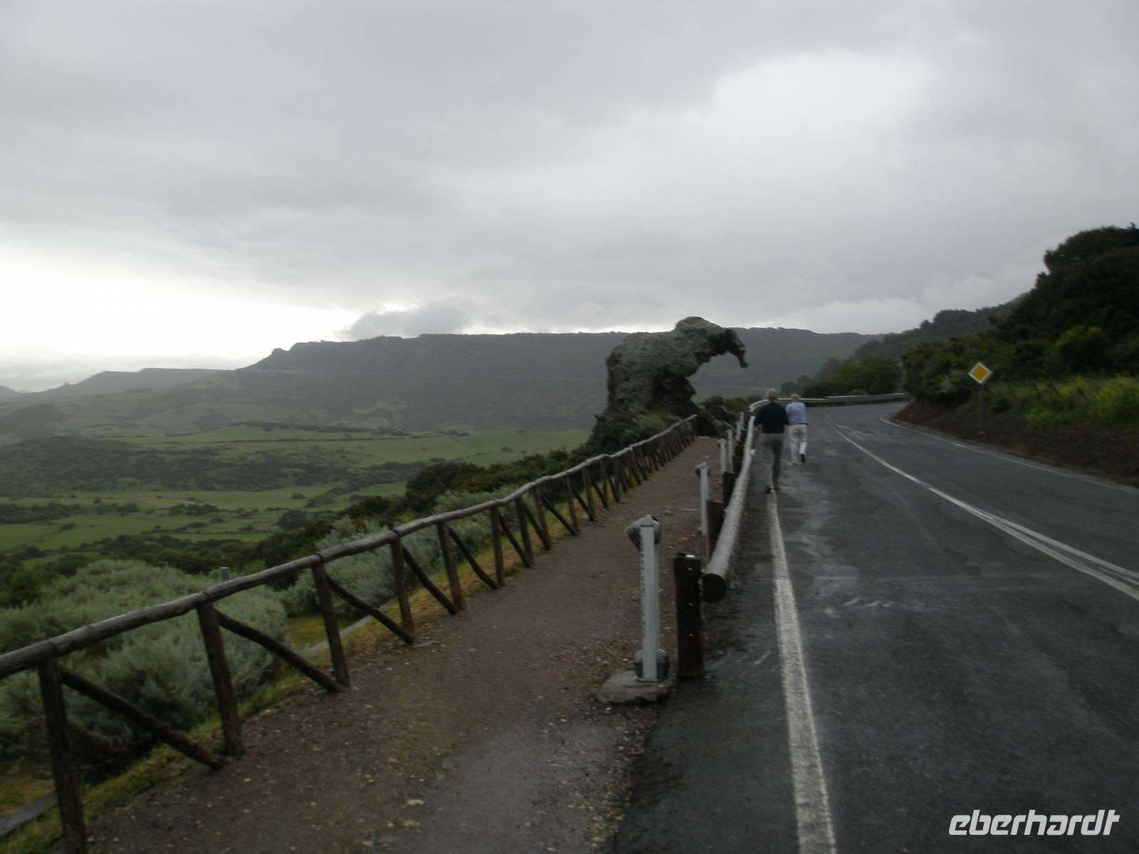 Der Elephantenfelsen oberhalb von Castelsardo.