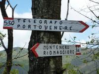 Immer auf dem richtigen Weg....