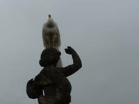 ... ich bin ein Star  ...