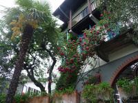 Wer könnte an diesem Motiv vorbeigehen, ohne zu knipsen ?!