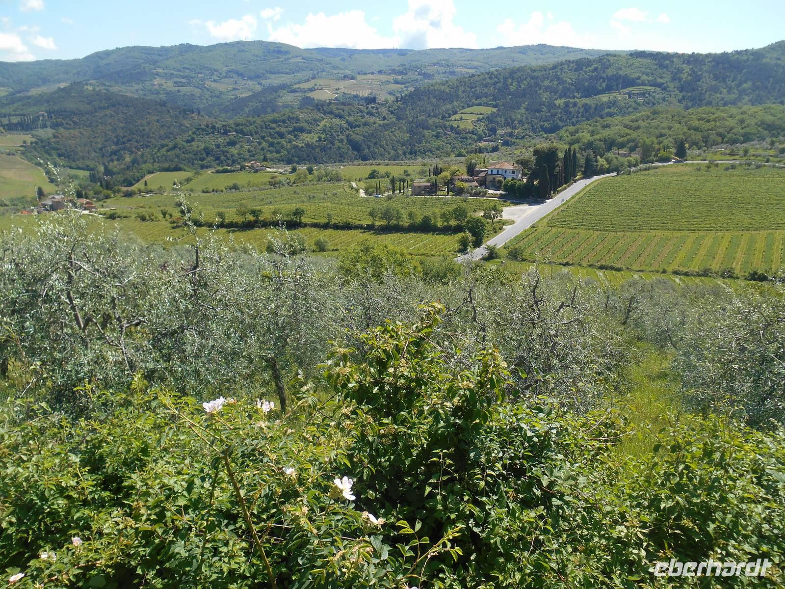 Chianti-Weinstrasse