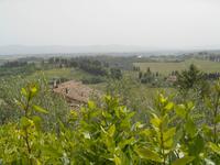 Umgebung von San Gimignano