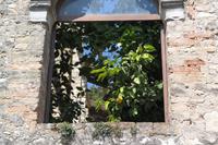 Zitronenbäume in San Vigilio