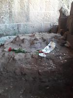7_Rom_Forum_Romanum
