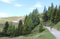 Wanderung zur Hütte Rifugio Orso Bruno